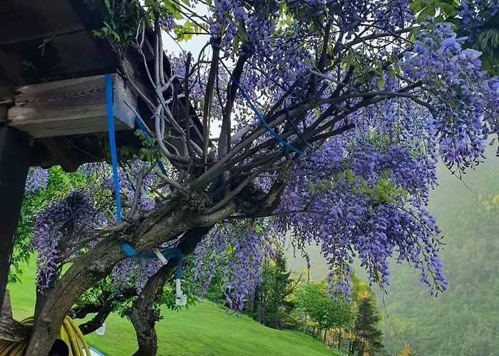 Al Castagno Ponte Caffaro